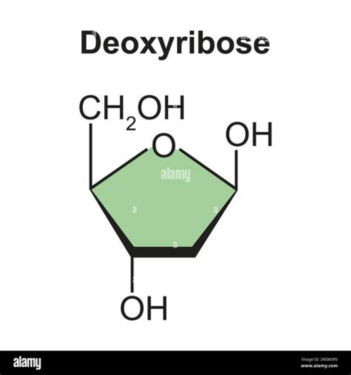 Does deoxyribose contain an acetal?