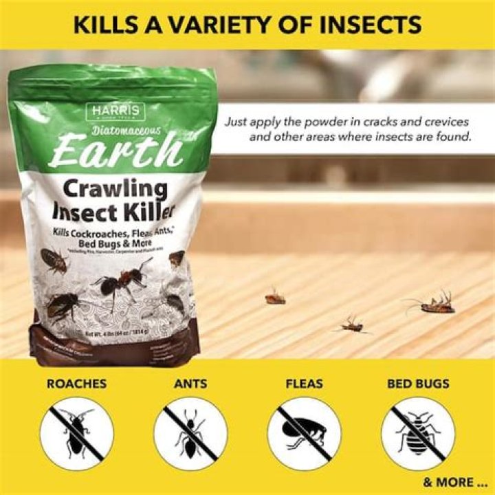 Does diatomaceous earth kill lacewings?