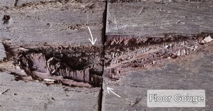 Does gouge mean scoop?