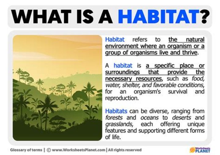 Does habitat still exist?