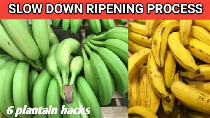 Does hanging bananas slow the ripening?