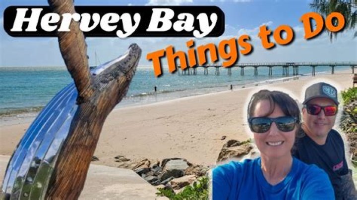 Does hervey bay have stingers?
