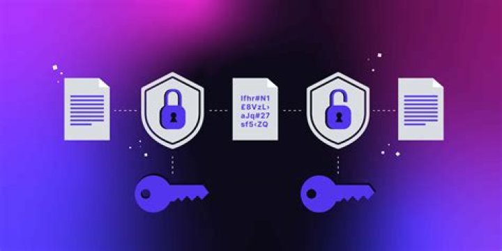 Does https encrypts data?