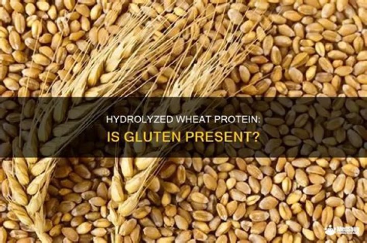 Does hydrolyzed wheat protein contain gluten?