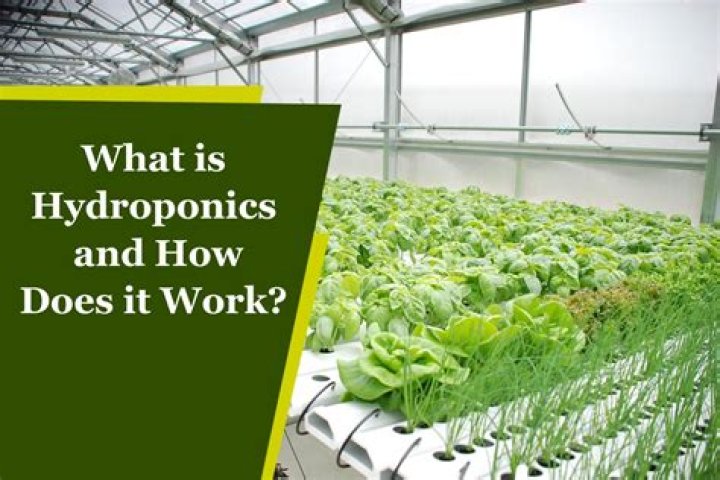 Does hydroponics use chemicals?