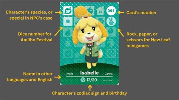Does judy have an amiibo card?