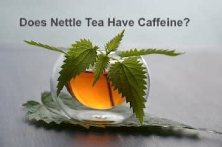 Does nettle tea have caffeine?