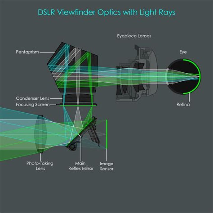 Does olympus pen have a viewfinder?
