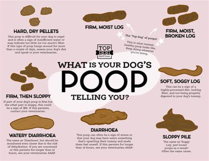 Does pooping make your stomach flatter?