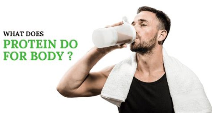 Does protein do for your body?