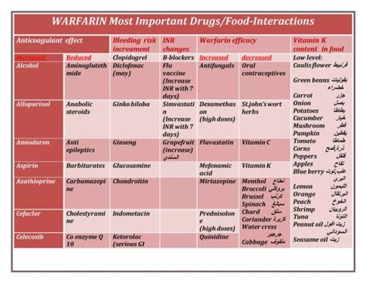 Does quinidine interact with warfarin?