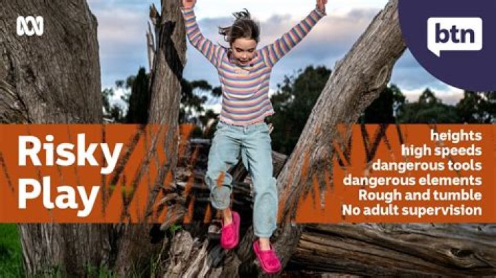 Does risky means dangerous?