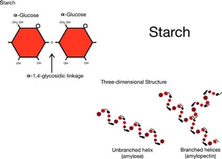 Does starch forms complex helices?