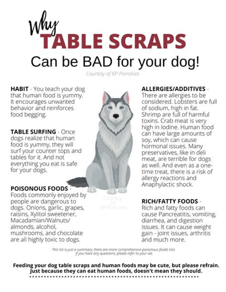 Does table scraps give dogs worms?