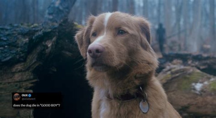 Does the dog die marcella?