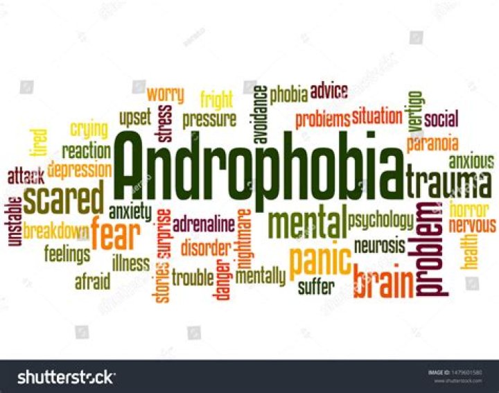 Does the word androphobia mean?