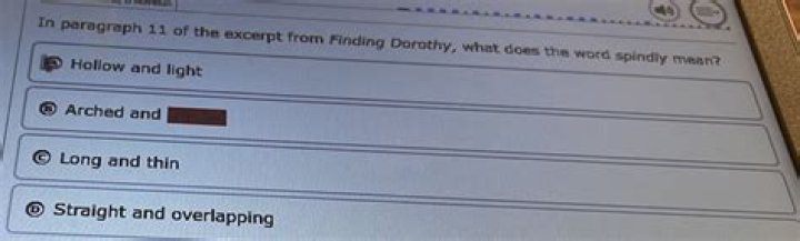 Does the word spindly mean?