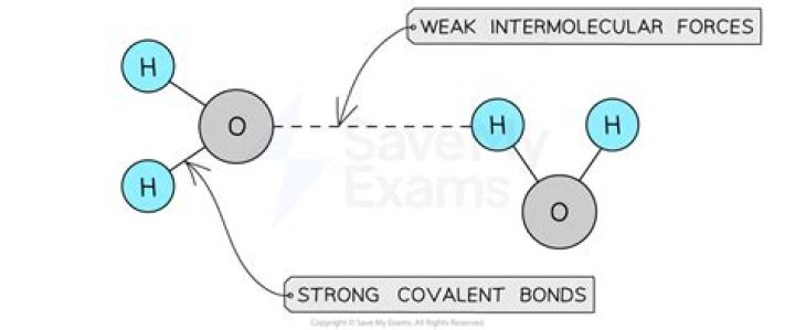 Does water have weak intermolecular forces?