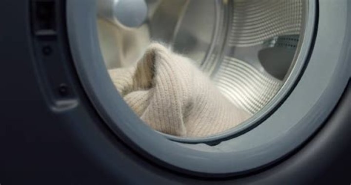 Does wool shrink in the dryer?