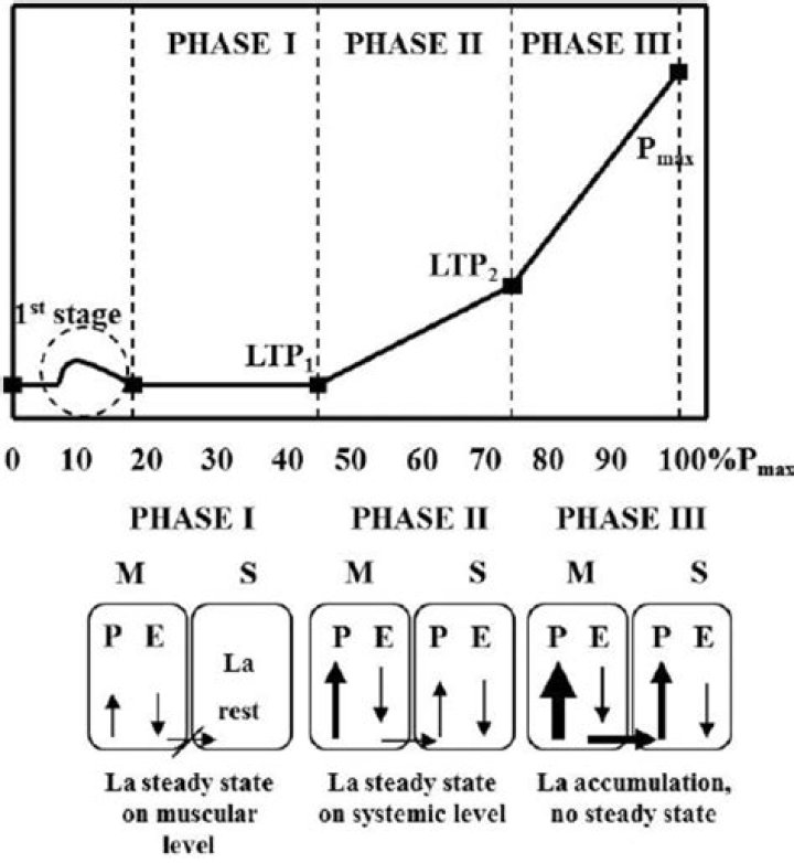 During an incremental exercise test?
