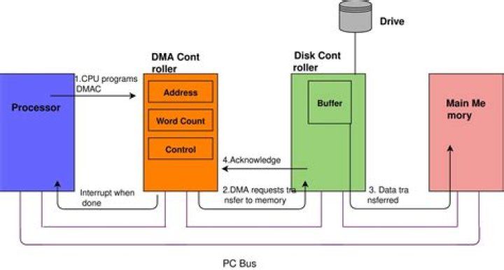 During dma transfer the processor?