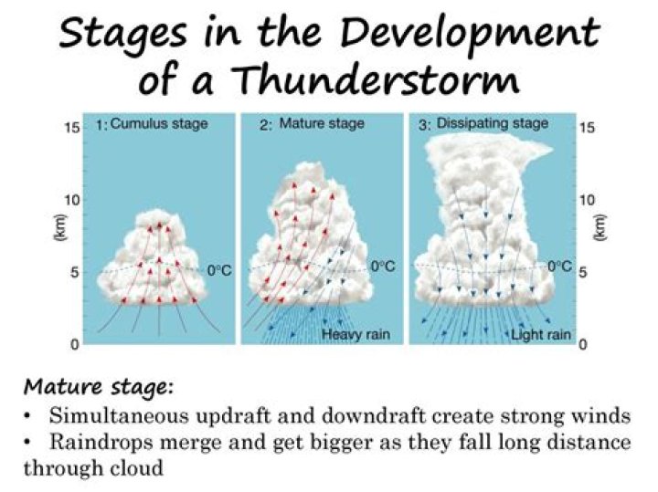 During the dissipation stage of thunderstorm development?