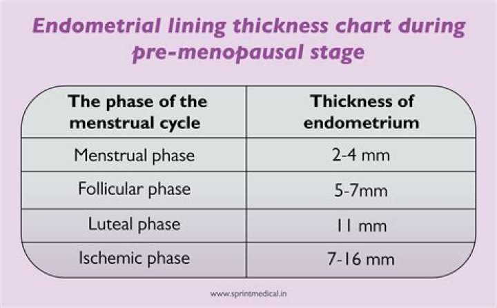 During the menstrual cycle the endometrium would be thickest?