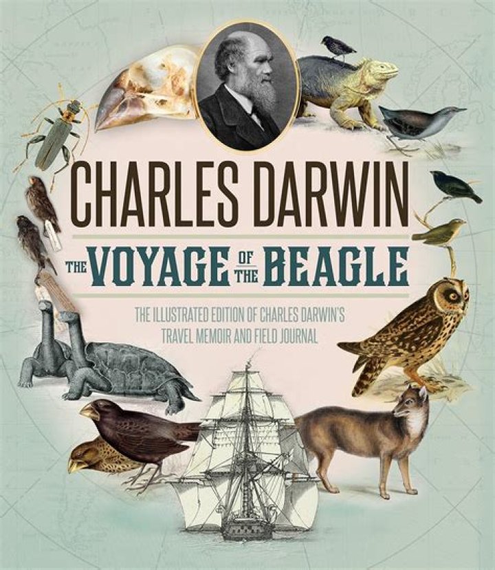 During the voyage of the beagle darwin experienced?