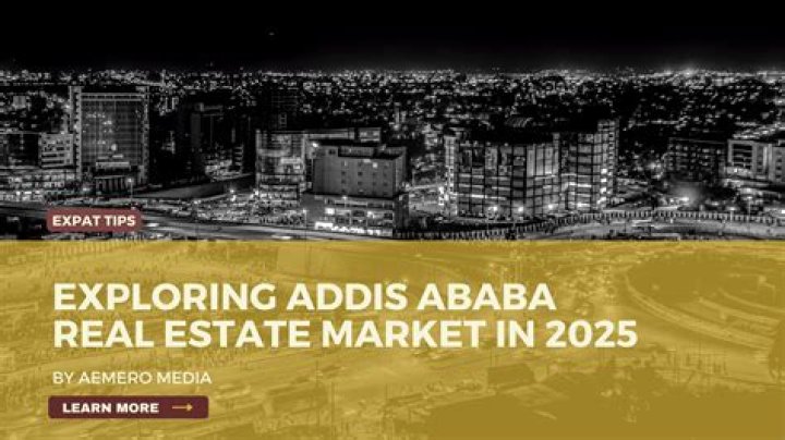 For addis ababa meaning?