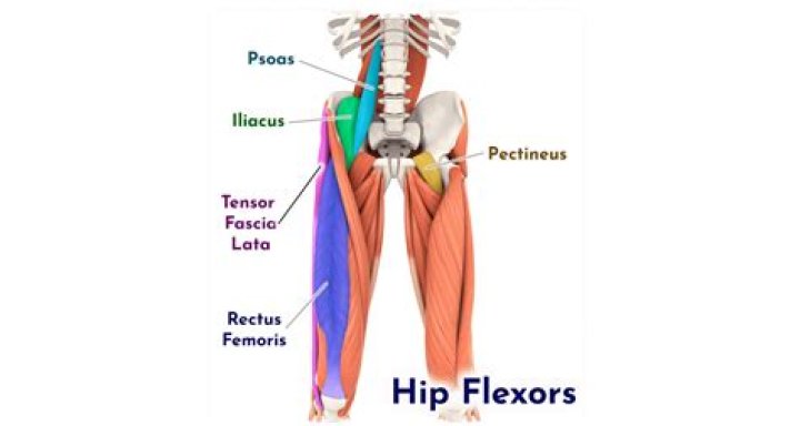For hip flexor muscles?