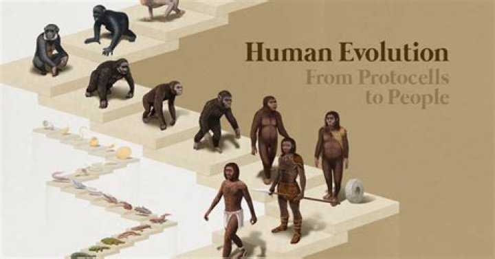 For how long have humans lived?