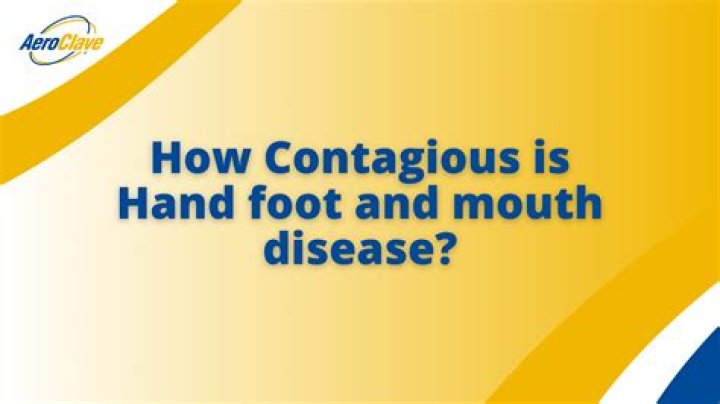 For how long is hand foot and mouth contagious?