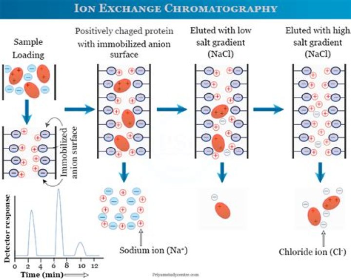 For ion exchange chromatography?