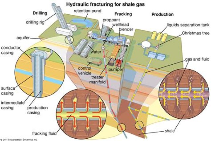 How are oil shales formed?