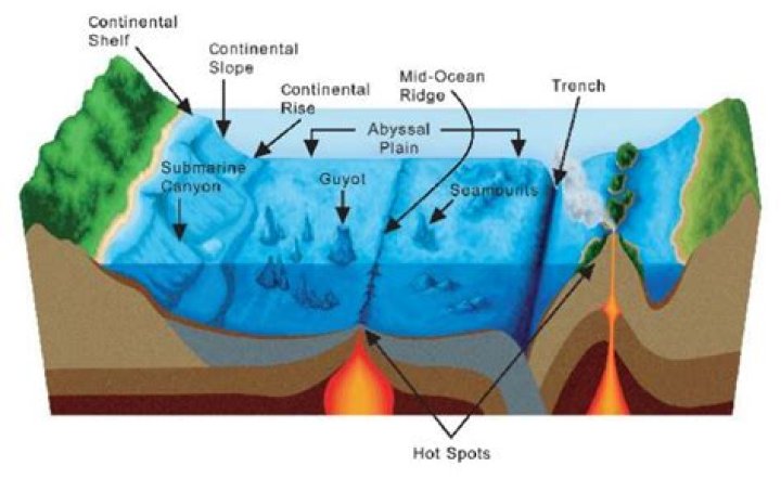 How are trenches formed?