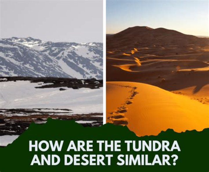 How are tundra and desert similar?