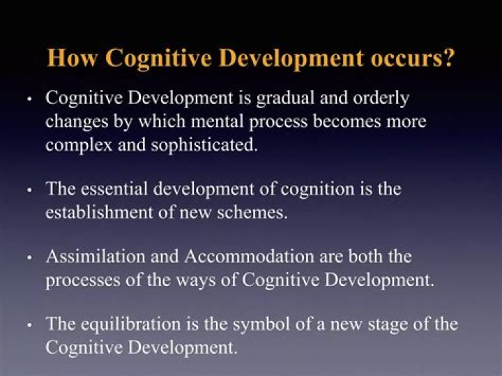 How cognitive development occurs?