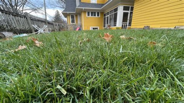 How crabgrass preventer works?