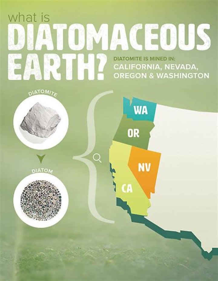 How diatomaceous earth is formed?