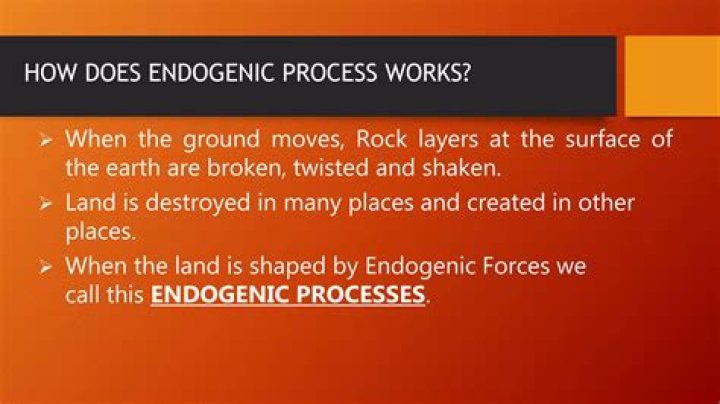 How do endogenic and exogenic process happen?