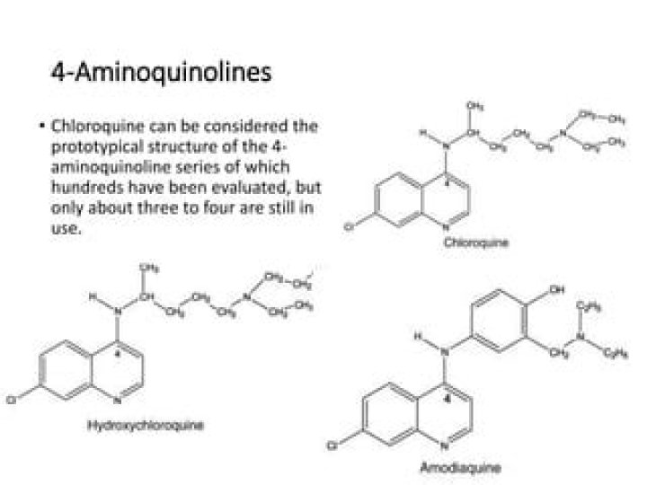 How does 4-aminoquinoline work?