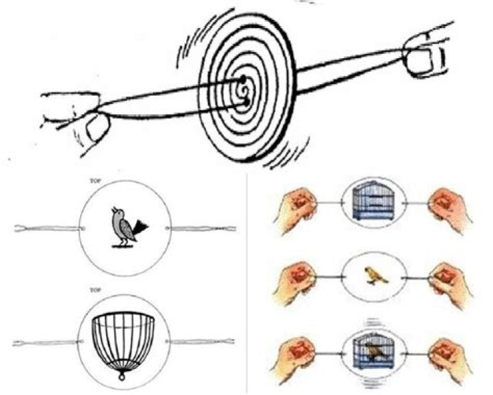 How does a thaumatrope work?