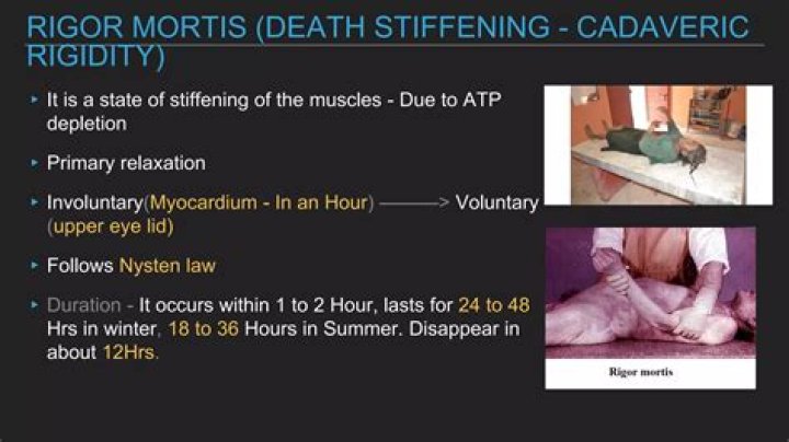 How does clothing affect rigor mortis?