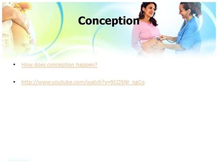 How does conception happen?