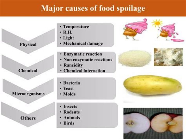 How does temperature affect food spoilage?