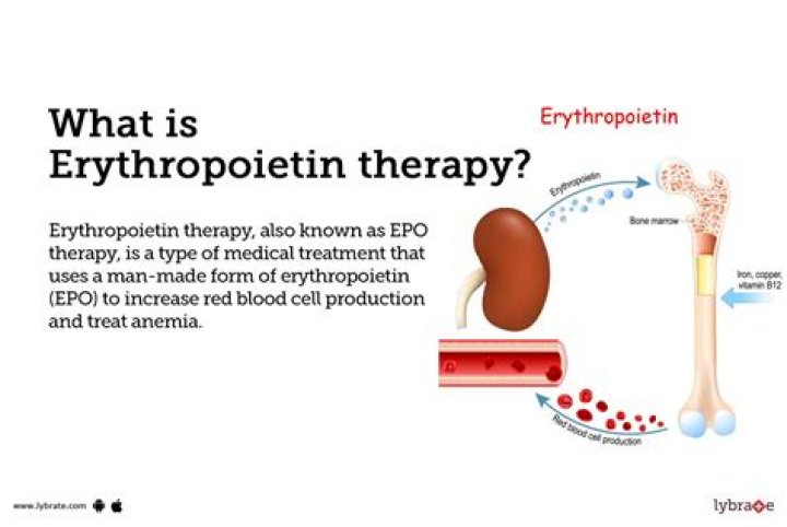 How erythropoietin is produced?