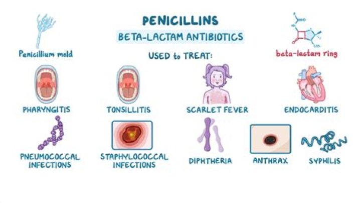 How has penicillin revolutionised medicine?