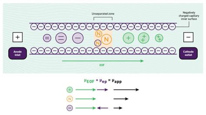 How is electrophoretic mobility measured?