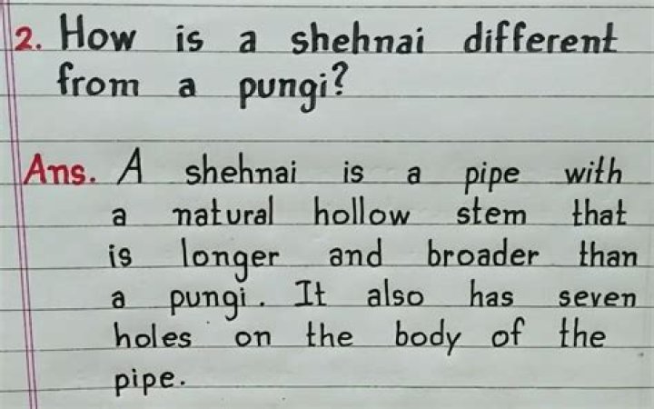How is shehnai different from pungi?