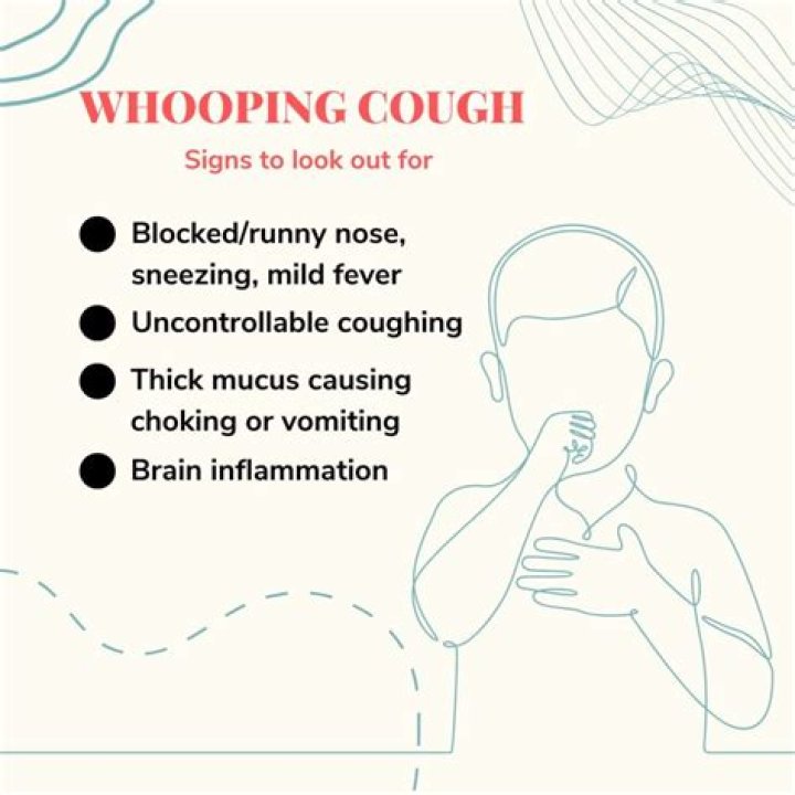 How is whooping cough spread?